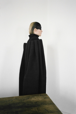 http://www.paulinehisbacq.com/files/gimgs/23_morsure2.jpg